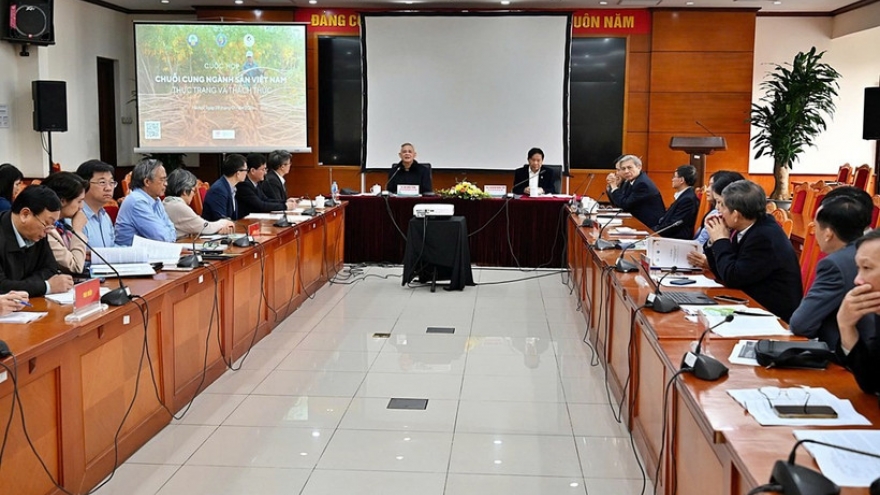 Vietnam ranks third globally in cassava exports, supply chain faces challenges